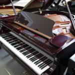 2007 Wendl & Lung 178 Traditional Grand #32065 #1