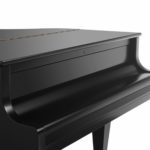 Bösendorfer 200 SSCS Traditional Grand #5