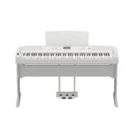 Yamaha DGX-670 Portable Digital with Stand and 3-Pedal Unit #8