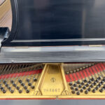 1935 Steinway & Sons L Traditional Grand #283462 #4