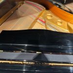 1999 Samick SG-150 Traditional Grand #ISAG0122 #1