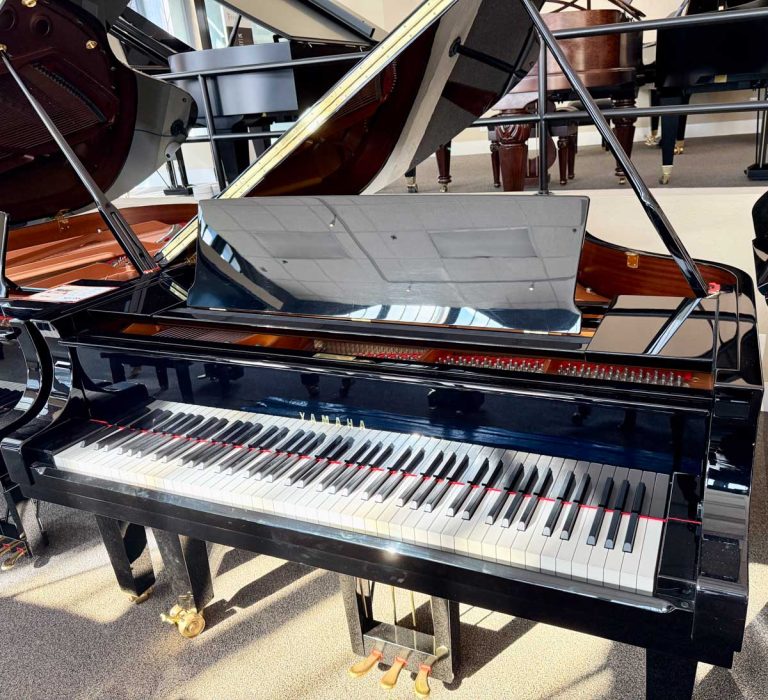 2017 Yamaha CF4 Traditional Grand #6427110