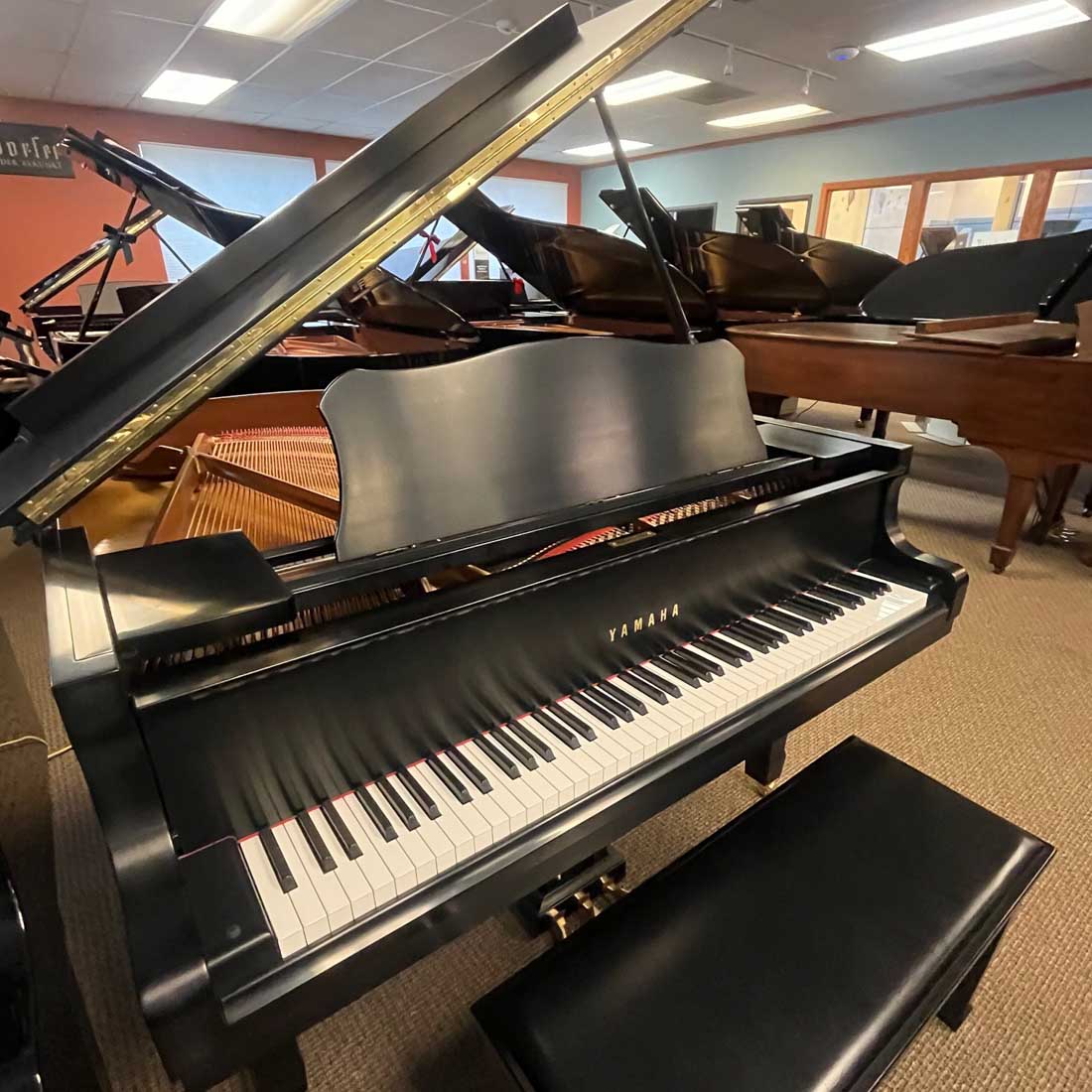 YAMAHA ピアノ 1998 Yamaha C1 Traditional Grand #5783019 - Music Exchange