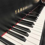 1998 Yamaha C1 Traditional Grand #5783019 #6