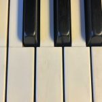 1923 Steinway & Sons M Traditional Grand #224920 #4