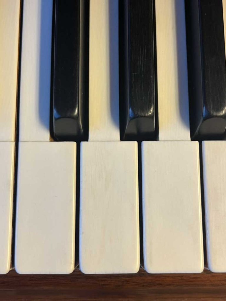 1923 Steinway & Sons M Traditional Grand #224920