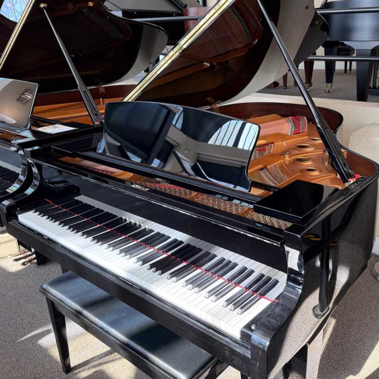 2023 Yamaha S3X Traditional Grand #6566878