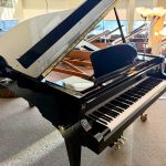 2004 Sauter 220 Traditional Grand #113994 #1