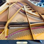 2004 Sauter 220 Traditional Grand #113994 #3