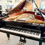 1994 Schimmel 208 Traditional Grand #316653 #1