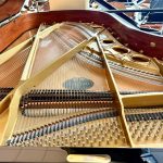 1994 Schimmel 208 Traditional Grand #316653 #2