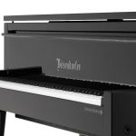 Bösendorfer Edge Grand #8