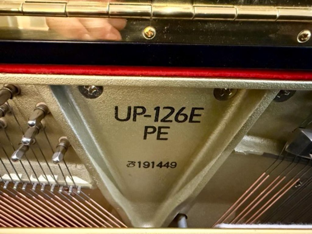 2018 Boston UP-126E Traditional Upright #191449