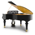 Bösendorfer Strauss Grand #2