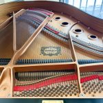 2000 Yamaha C1 Traditional Grand #5820933 #2