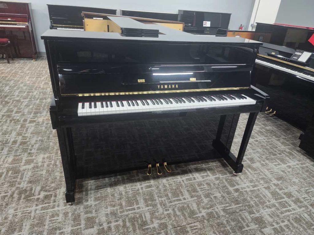 2019 Yamaha b2 Traditional Upright #J36425548