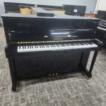 2019 Yamaha b2 Traditional Upright #J36425548 #0
