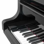 Bösendorfer 225 Traditional Grand #5