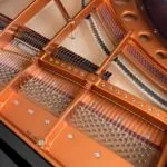 Bösendorfer 225 Traditional Grand #2