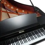 Bösendorfer 170VC ENRPO Disklavier Grand #1