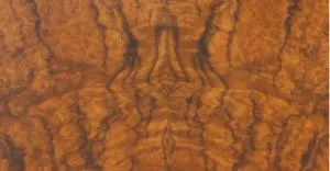 Burr Walnut