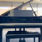 1965 Baldwin M Traditional Grand #169968 #0