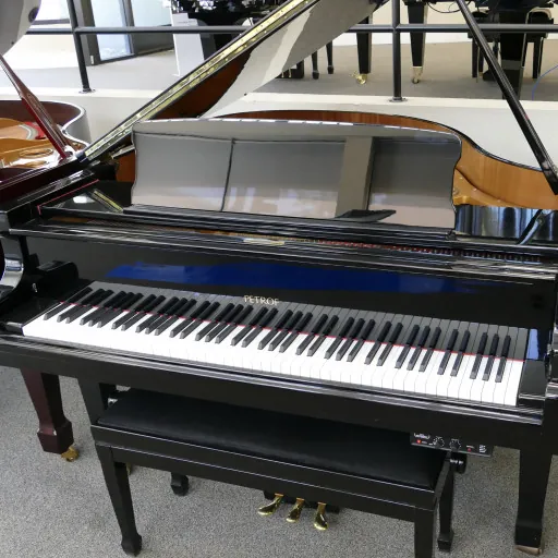 1996 Petrof V Traditional Grand #542474