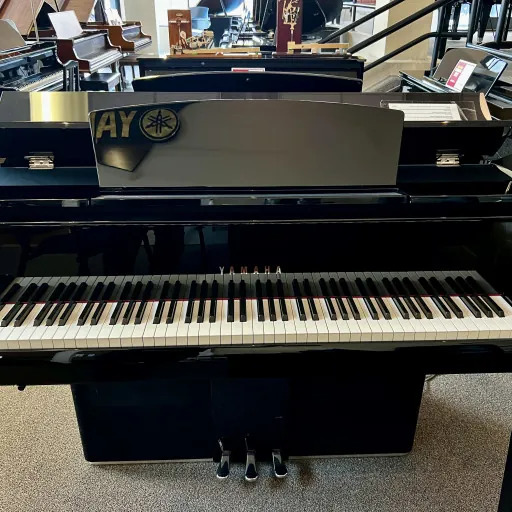 2018 Yamaha N2 AvantGrand Hybrid #UAXO01004