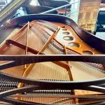 2007 Bösendorfer 200 Chopin Limited Edition Traditional Grand #48517 #5