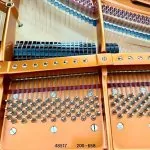 2007 Bösendorfer 200 Chopin Limited Edition Traditional Grand #48517 #6