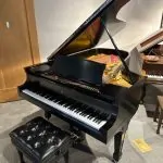 1923 Steinway & Sons B Traditional Grand #223836 #0
