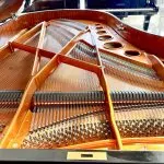 1968 Bösendorfer 200 Traditional Grand #28857 #3