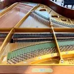 1984 C. Bechstein 178 Traditional Grand #177753 #2