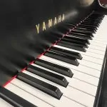1998 Yamaha C1 Traditional Grand #5783019 #6