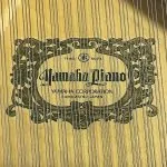 1998 Yamaha C1 Traditional Grand #5783019 #4