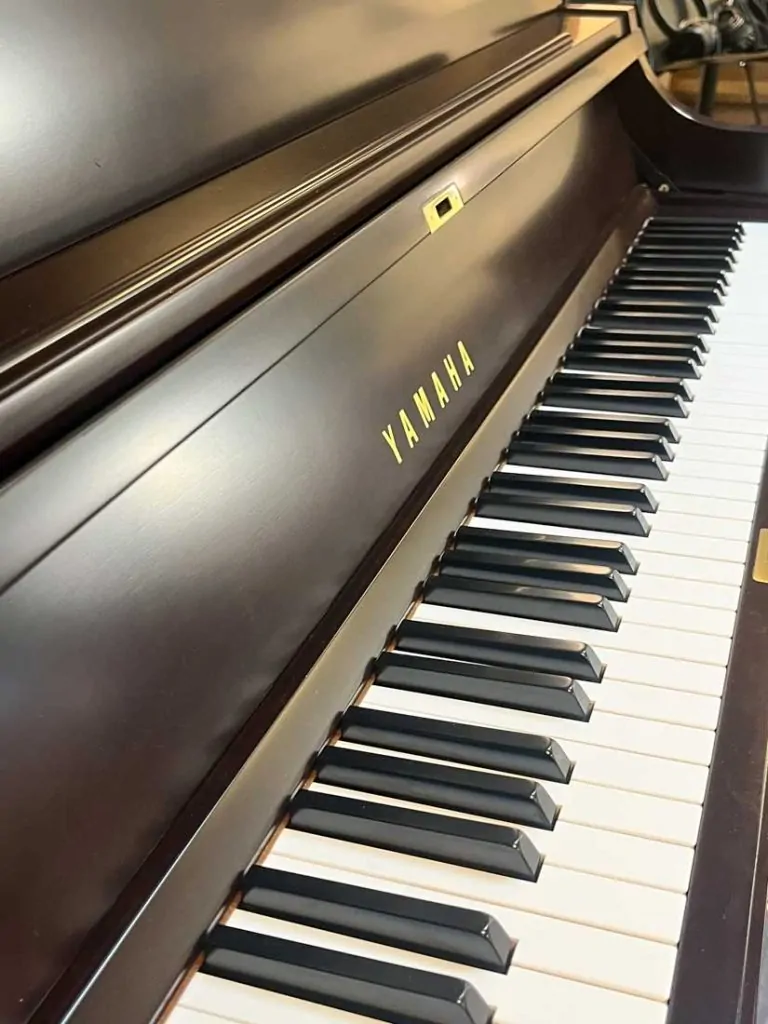 2019 Yamaha P22 Traditional Upright #J36409962