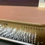 2019 Yamaha P22 Traditional Upright #J36409962 #1