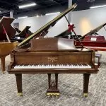1998 Steinway & Sons Tiffany B Traditional Grand #546567 #0