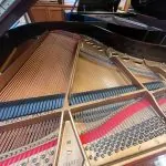 1923 Steinway & Sons M Traditional Grand #224920 #3