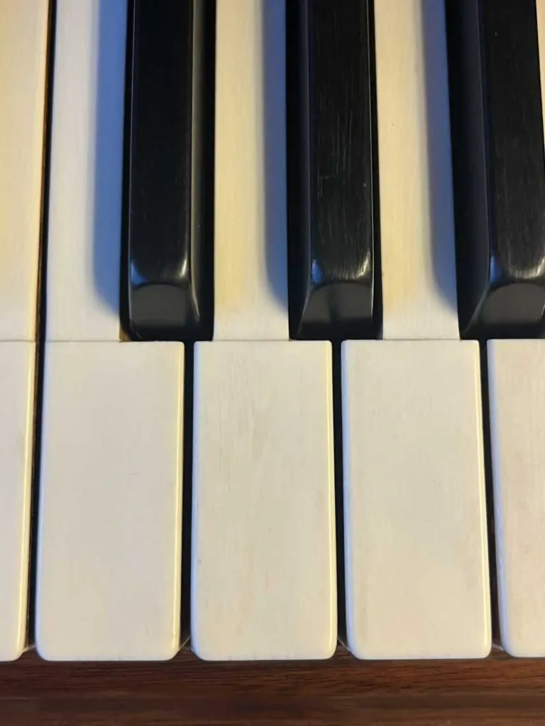 1923 Steinway & Sons M Traditional Grand #224920