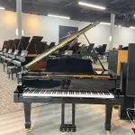 2008 Estonia L190 Traditional Grand #6855 #0