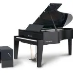 Bösendorfer Edge Grand #0