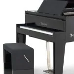 Bösendorfer Edge Grand #5