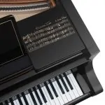 Bösendorfer 奧斯卡彼得森 214VC Disklavier 大獎 #2