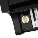 Bösendorfer 奧斯卡彼得森 214VC Disklavier 大獎 #3