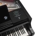 Bösendorfer 250 Years Beethoven 214VC Grand #4
