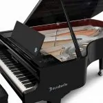 Bösendorfer 250 Years Beethoven 214VC Grand #2