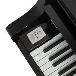 Bösendorfer 250 Years Beethoven 214VC Grand #6