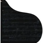 Bösendorfer 250 Years Beethoven 214VC Grand #8