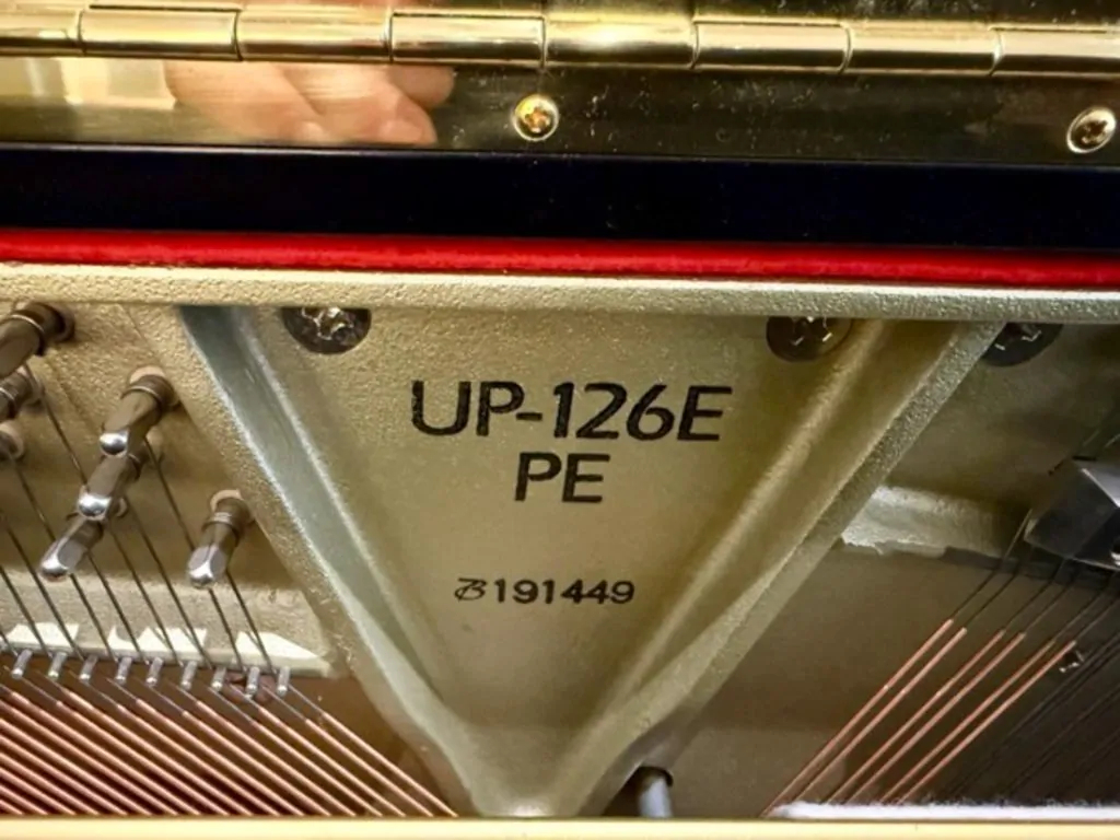 2018 Boston UP-126E Traditional Upright #191449